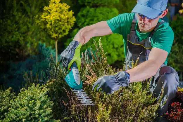 landscaping services North Madison